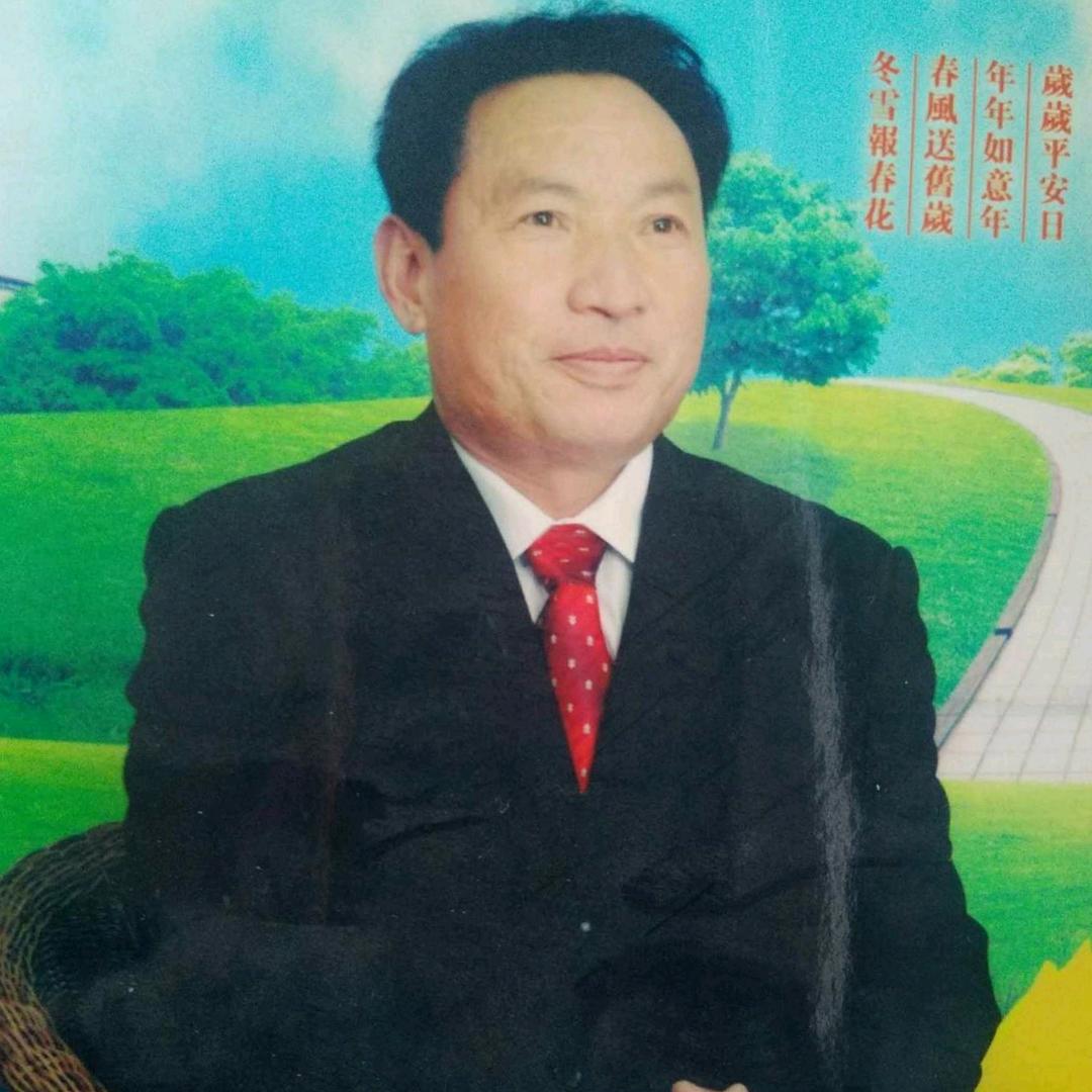 绿叶钙茶+古树茶（推广）