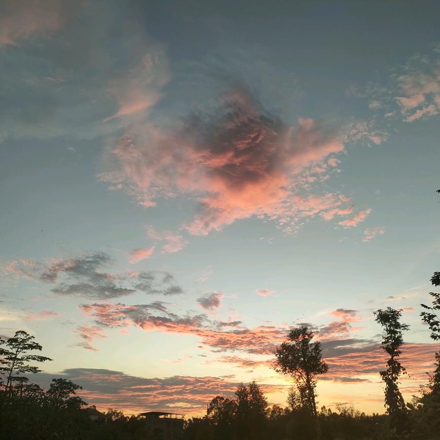 ✨🕊柒¹⒐⁸ ⁶