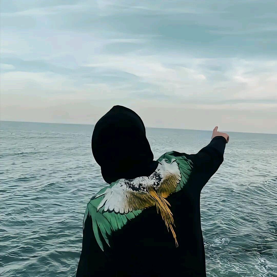沈自由