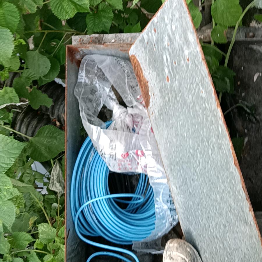 开心  哥