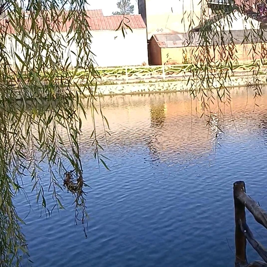 清风e徐来