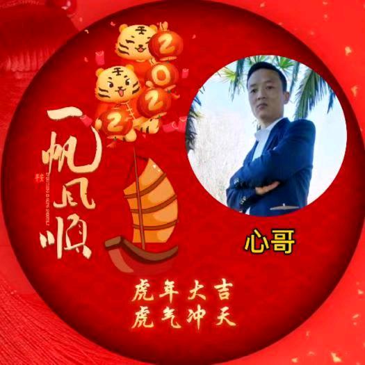 心哥 短视频