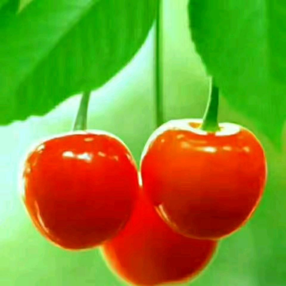 用户3389454851314