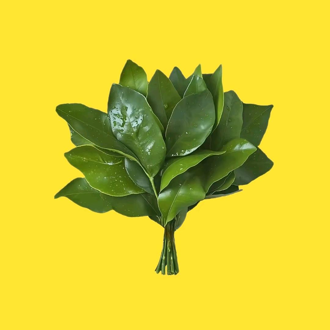 Yy。
