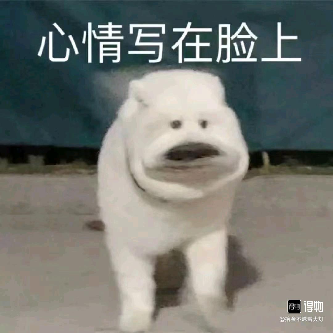 ㅤㅤㅤ💞