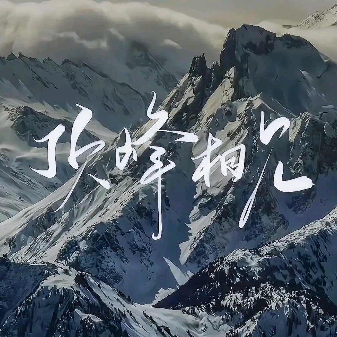 弱电 金哥