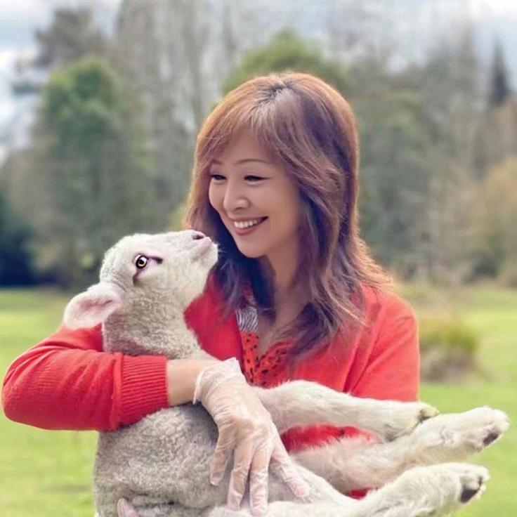 新西兰汐文小筑