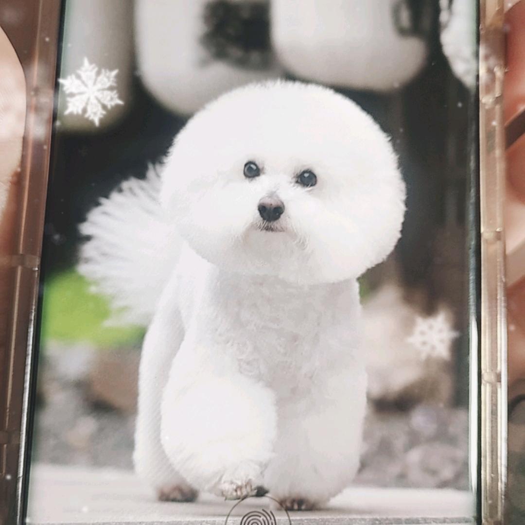 小阿乖