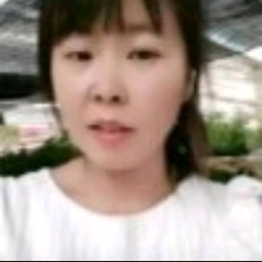 老五绿植(在黄楼批发，主营网红造型的)