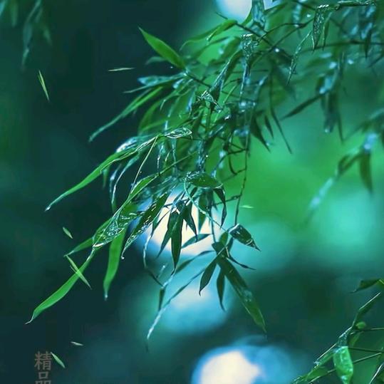 我先想想