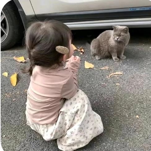 小᳐欣大王᳐੭ﾞ