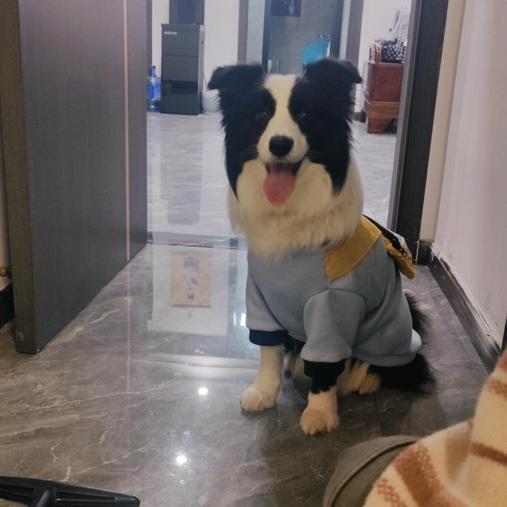 果冻.