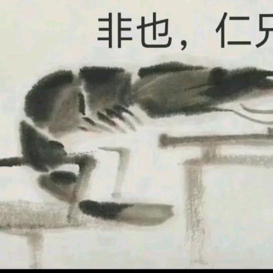 青鸟070