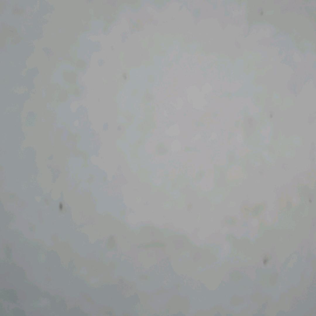 用户78963254180