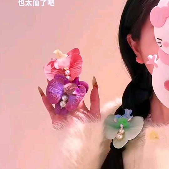 老登