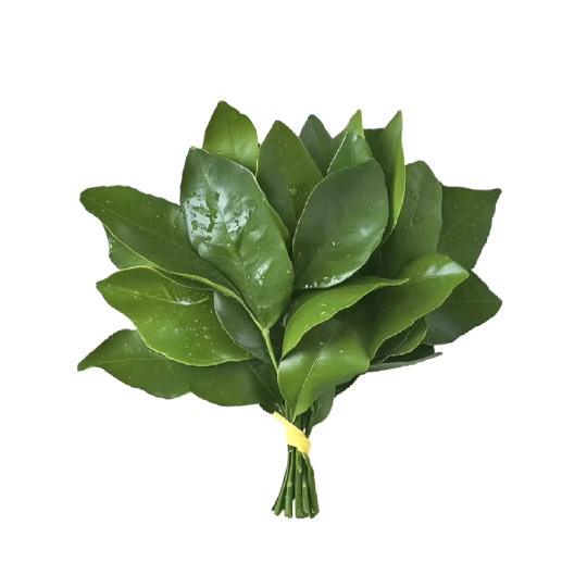 奶啤奶啤晦气远离