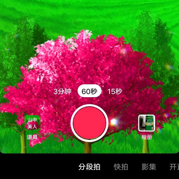 九龙花乡