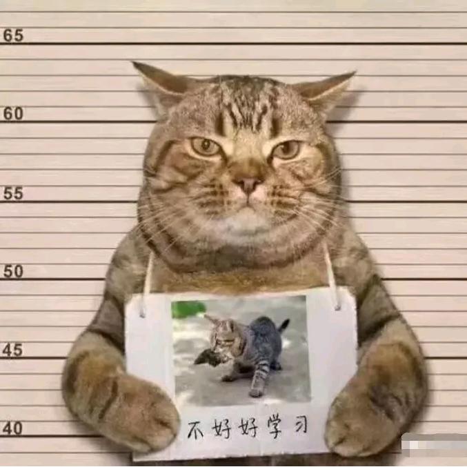 反杀闰土吃西瓜的猹