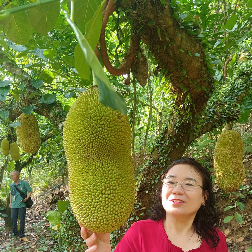 神州行