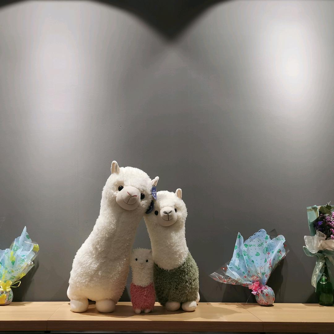 青橙顺兴供应链好物分享