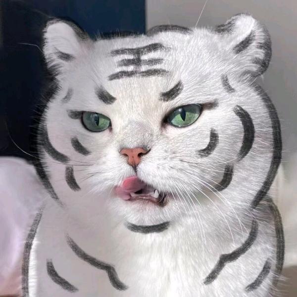 绊倒铁盒