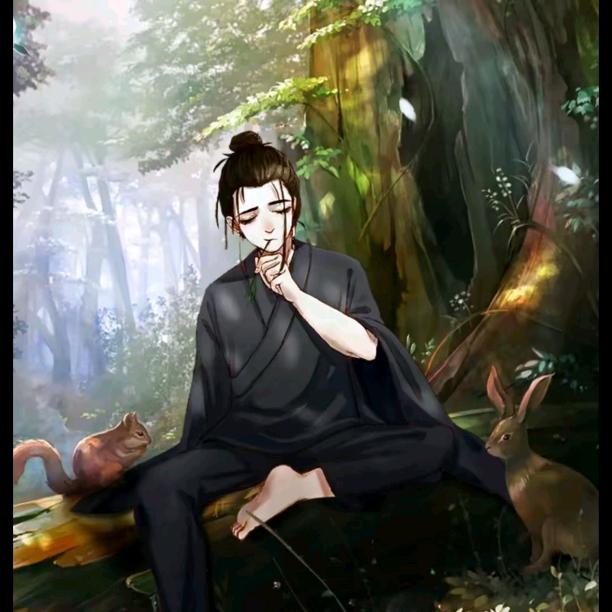 小杨哥说市