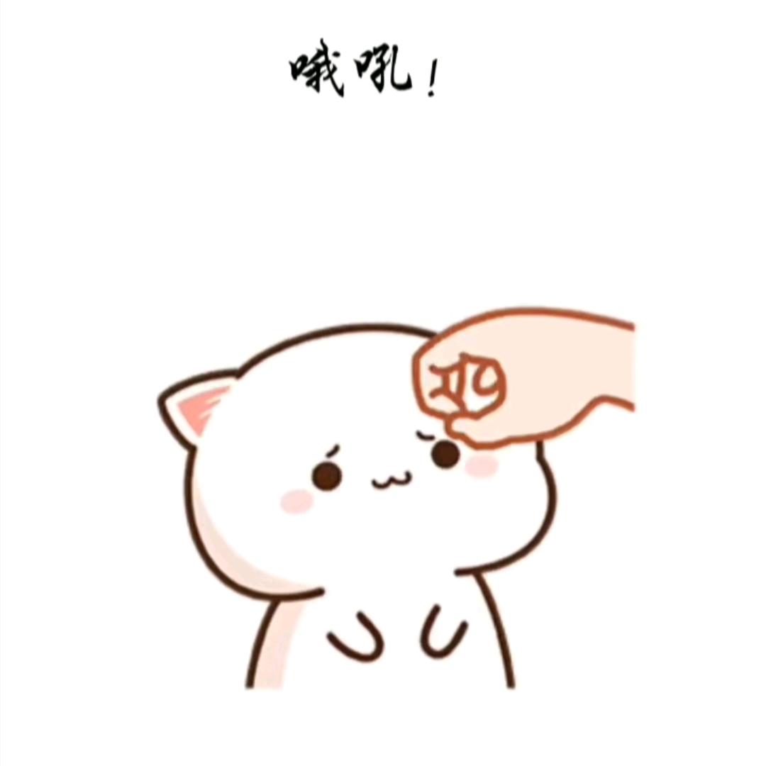小猪猪
