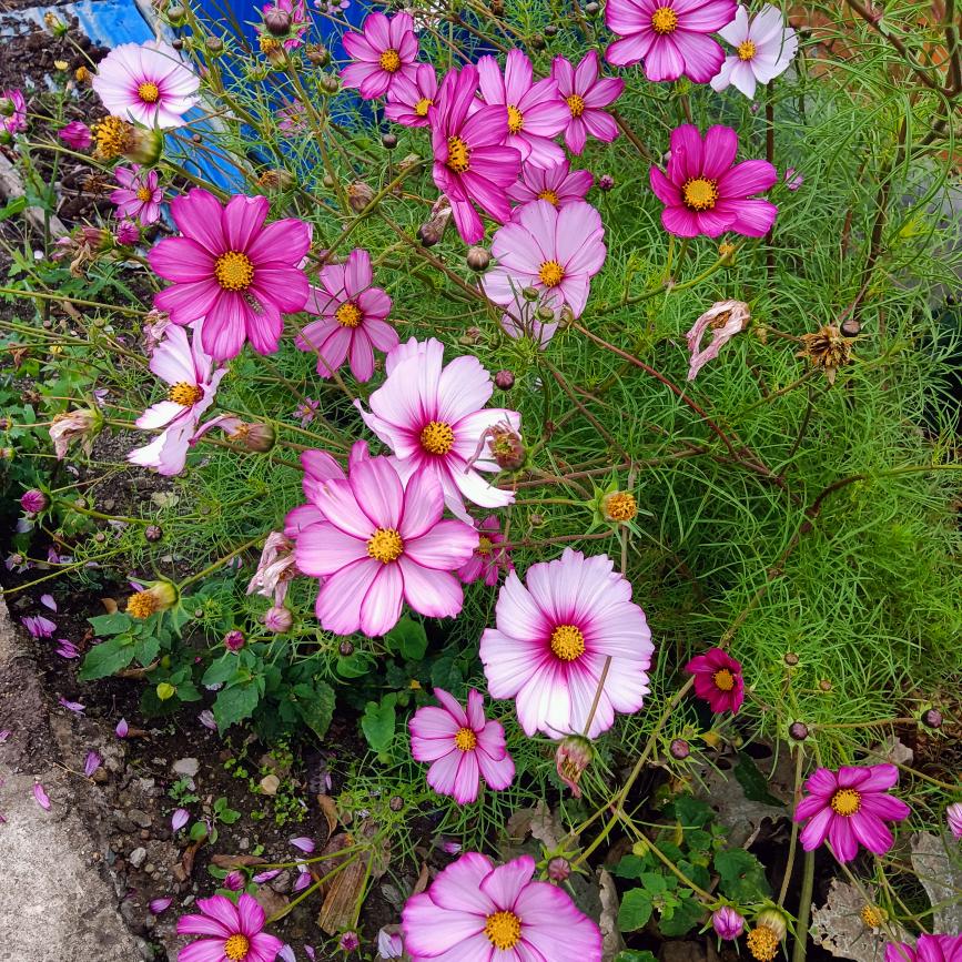 今生有缘遇见你