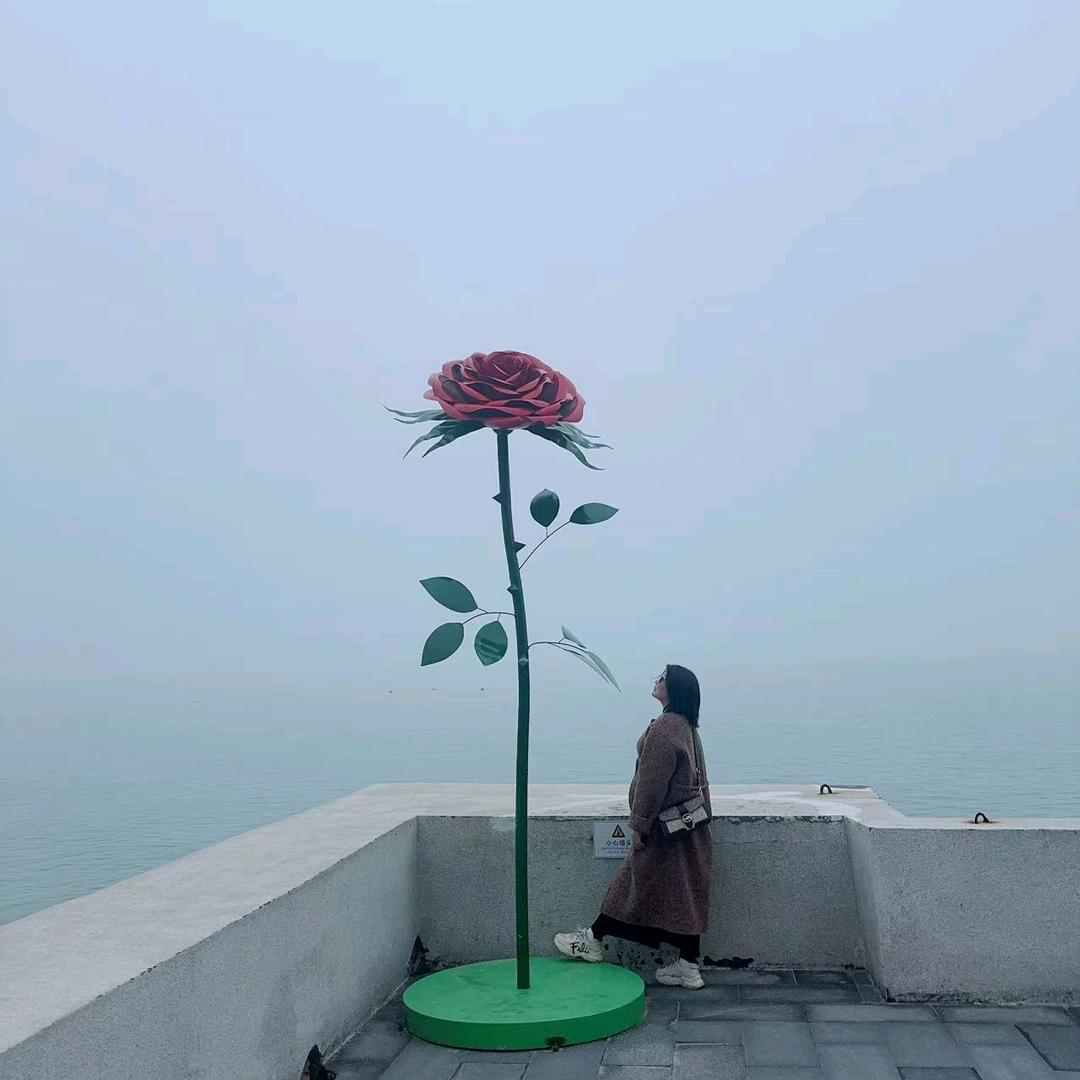 敏姐🦋