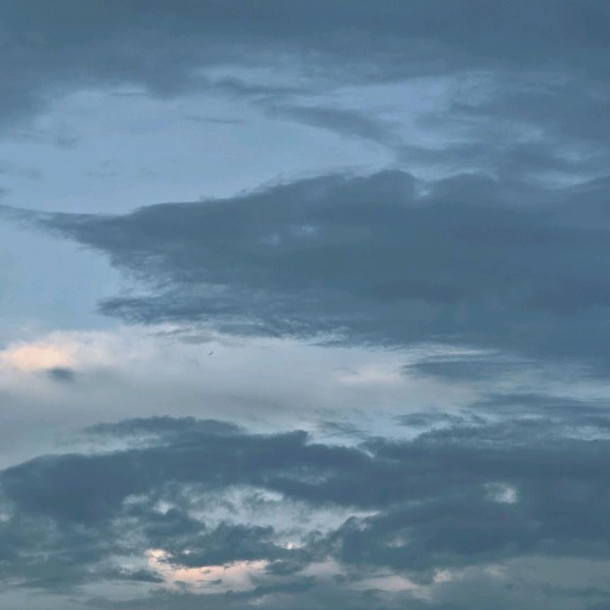 野火🔥（名奢金表）