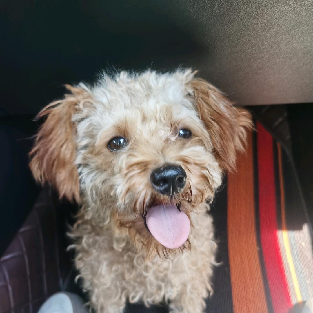 我叫坚强（拒绝私聊）