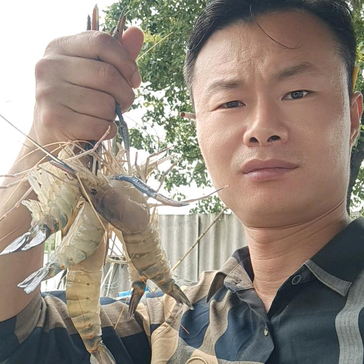 爱罗虾