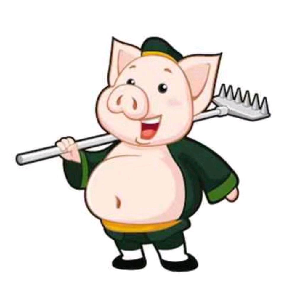 磊哥