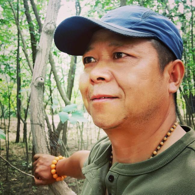 塞上飞蝗