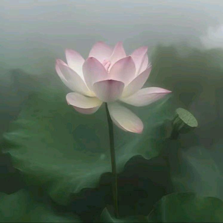 痞帅小抽象
