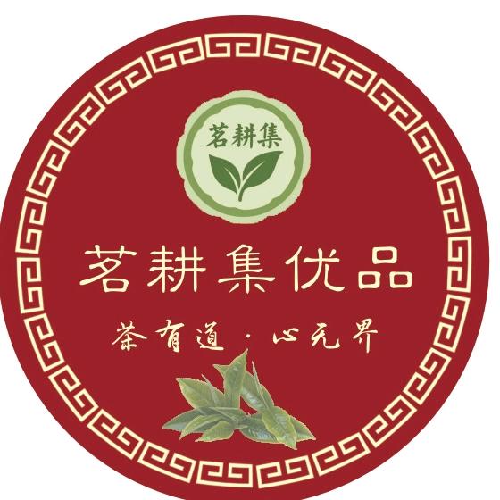 雾里看茶