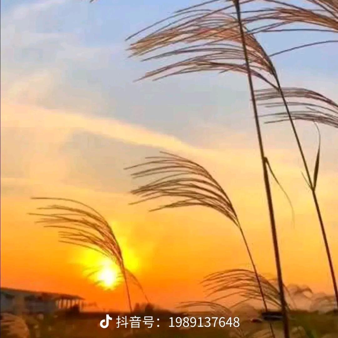 北风