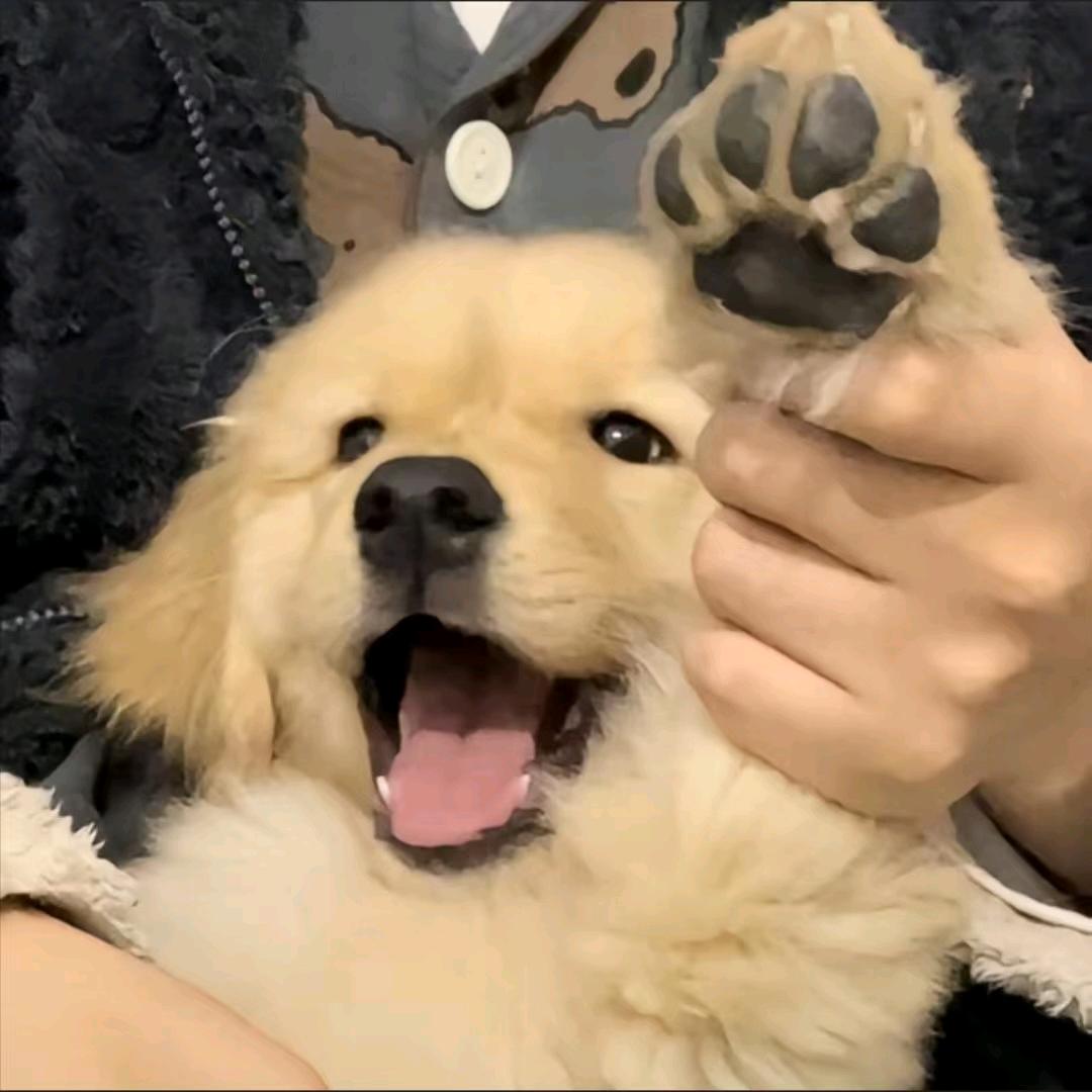 故-里