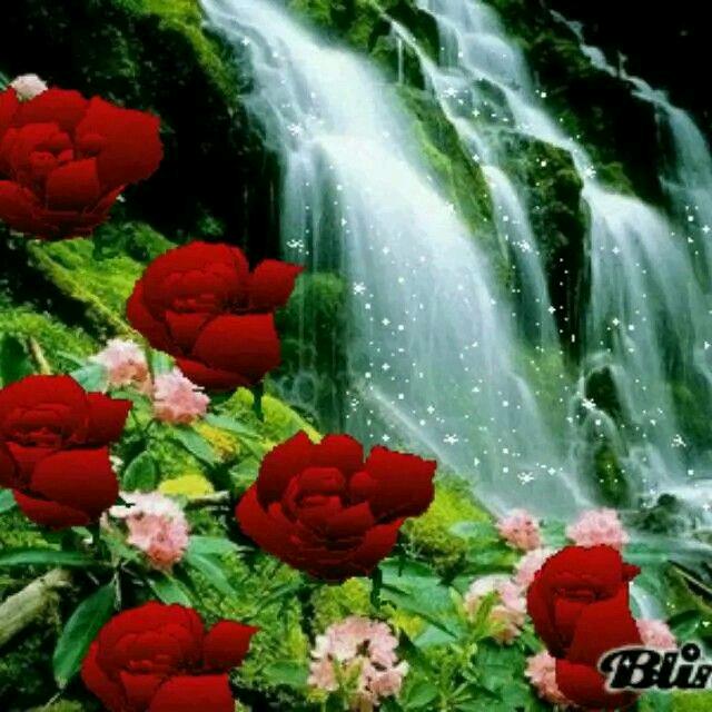 雨过天晴🌹🌹🌷🌷