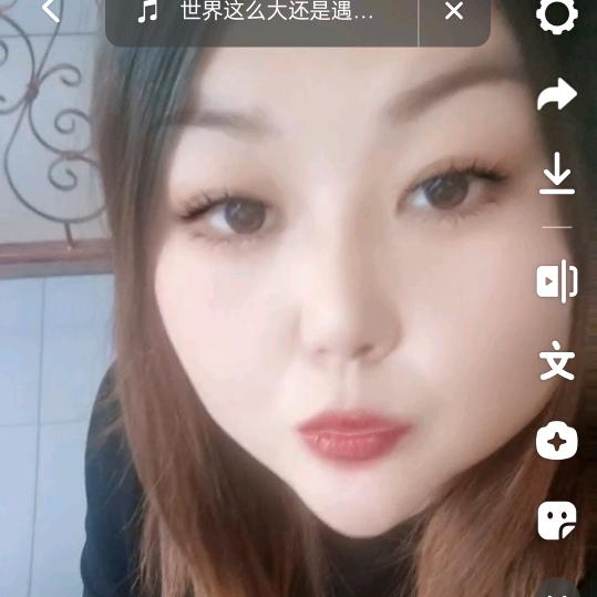 迷路鲸鱼