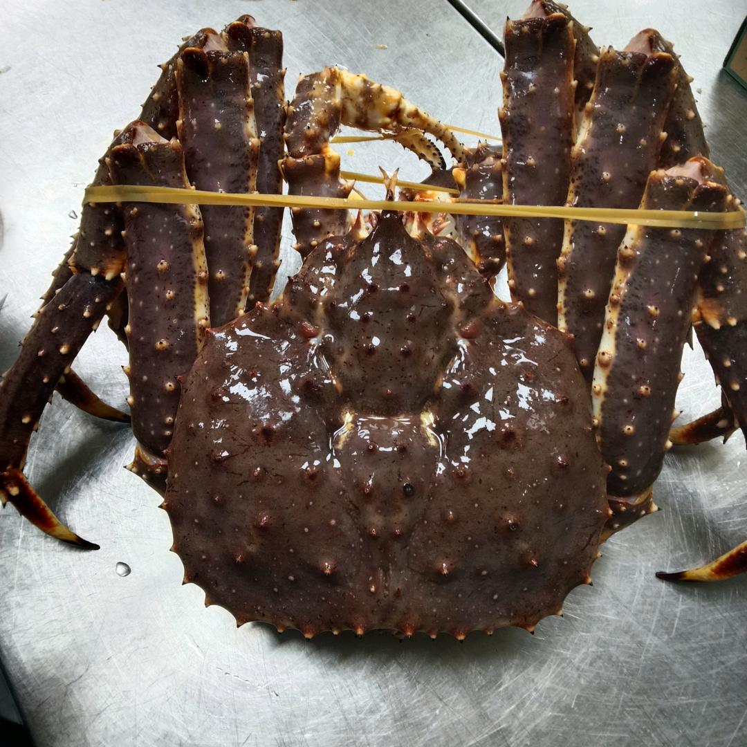 喜欢游泳