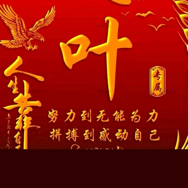 枝繁叶茂