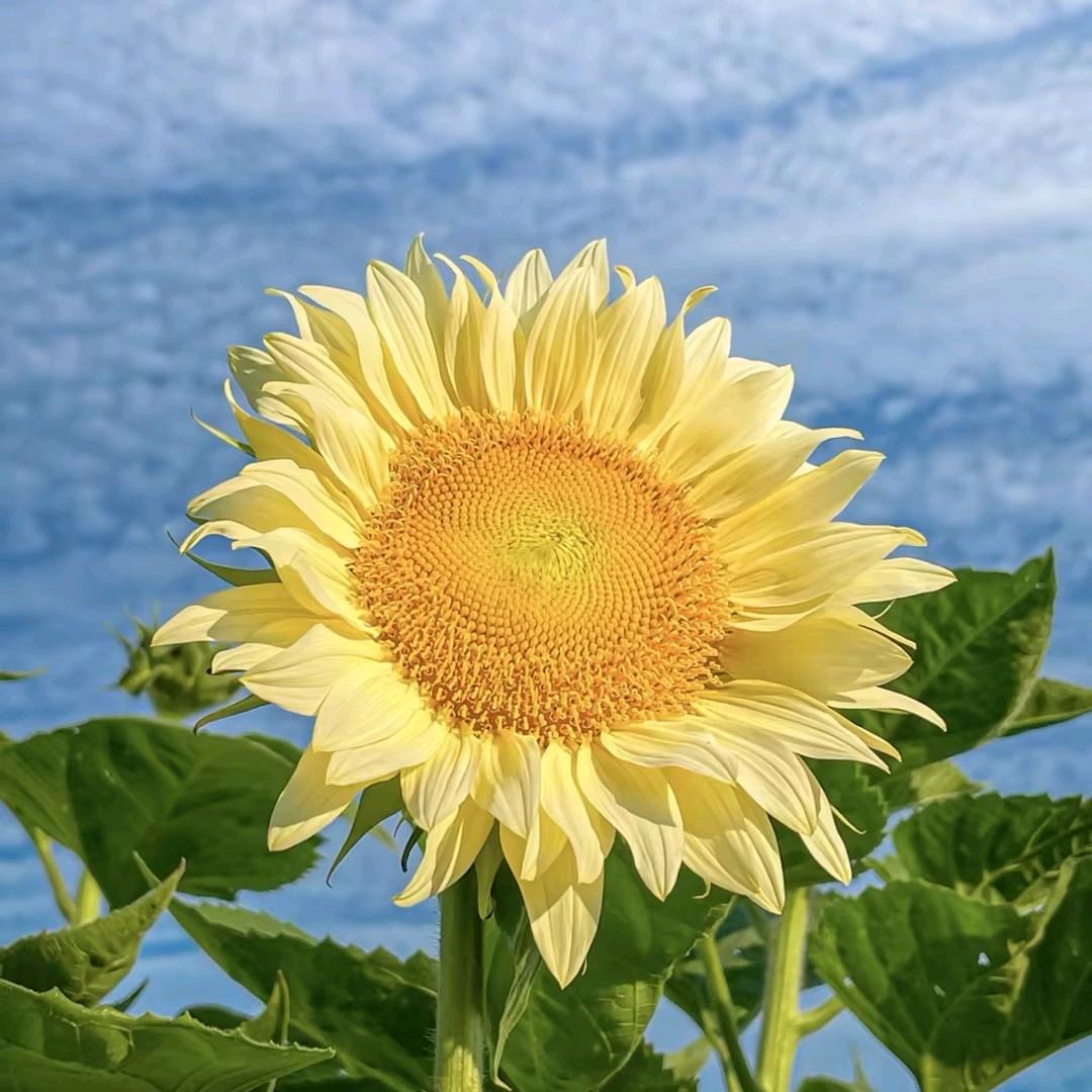 下岗再创业人员