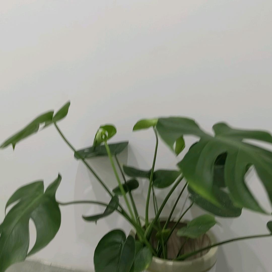 厚德载物