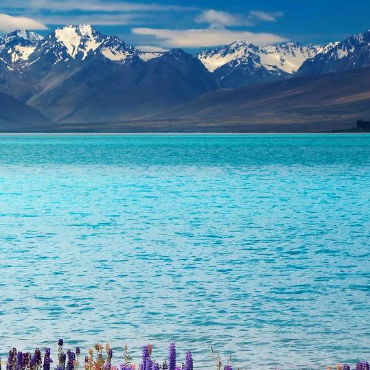 沾喜歌（沾喜装饰建材）