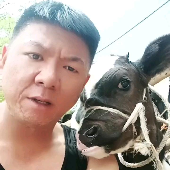 甘泉王侨鲜奶