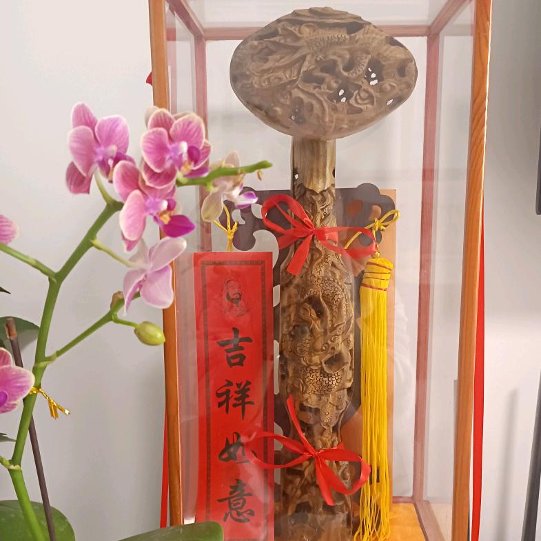 相儒以沫