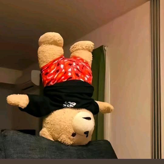 安(｡･ω･｡)ﾉ♡
