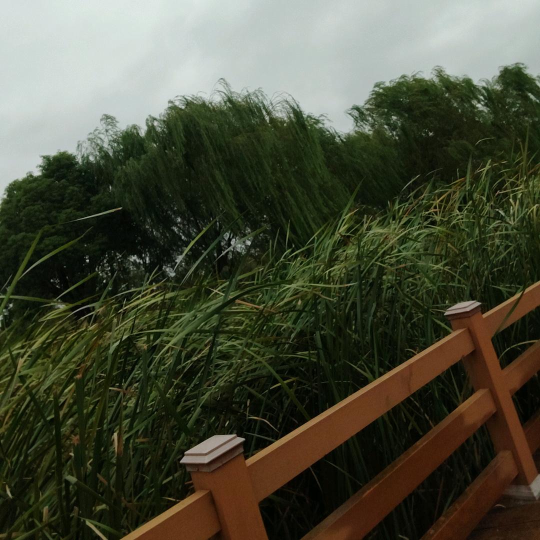 你好