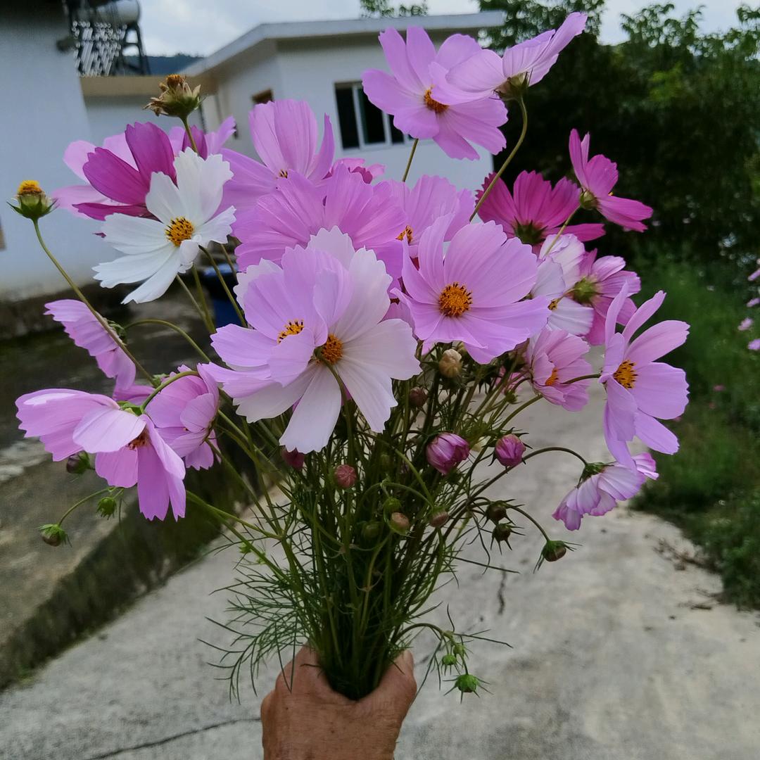 一马当先